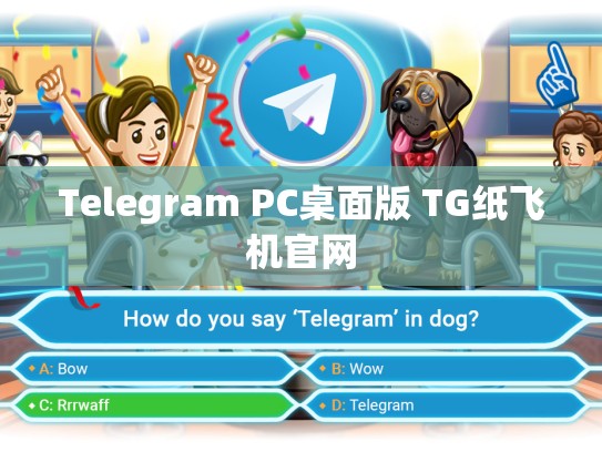 Telegram PC桌面版 TG纸飞机官网