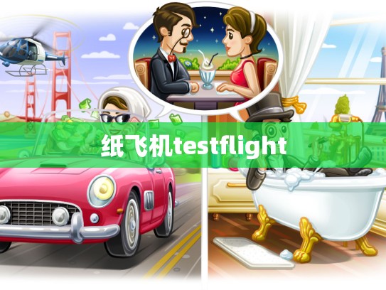 纸飞机testflight