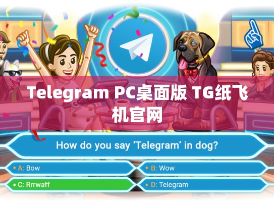 Telegram PC桌面版 TG纸飞机官网