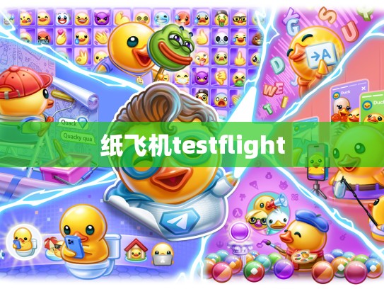 纸飞机testflight