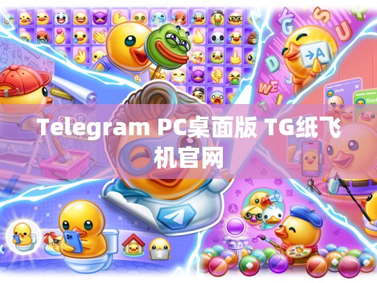 Telegram PC桌面版 TG纸飞机官网