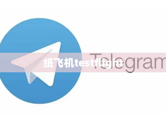 纸飞机testflight