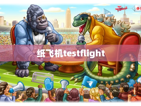 纸飞机testflight