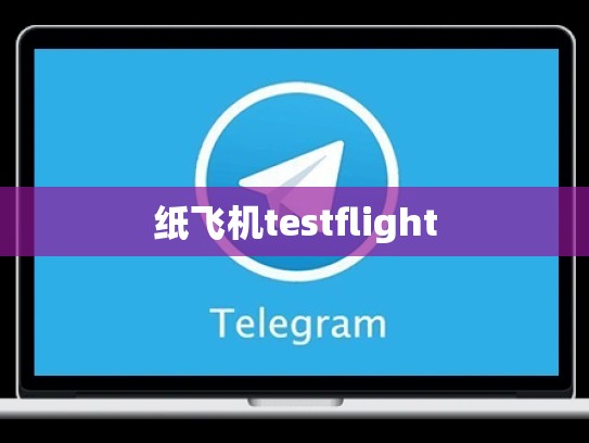纸飞机testflight