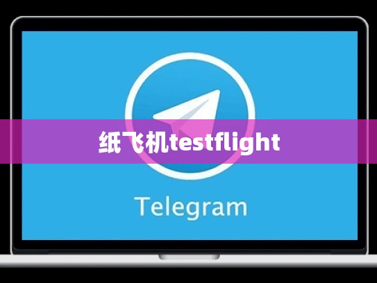 纸飞机testflight