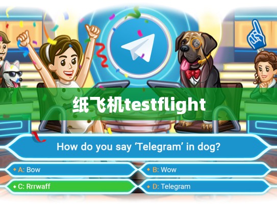 纸飞机testflight