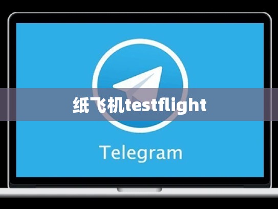 纸飞机testflight