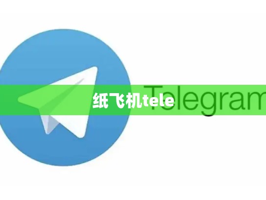 纸飞机tele