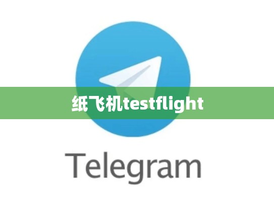 纸飞机testflight