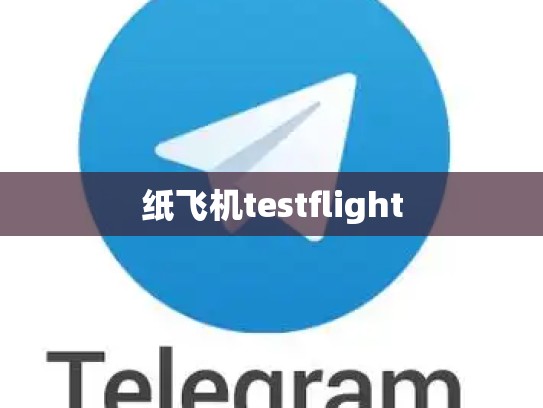 纸飞机testflight