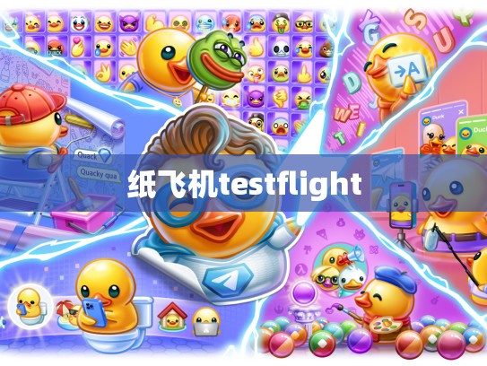 纸飞机testflight