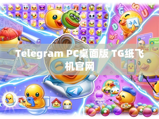 Telegram PC桌面版 TG纸飞机官网