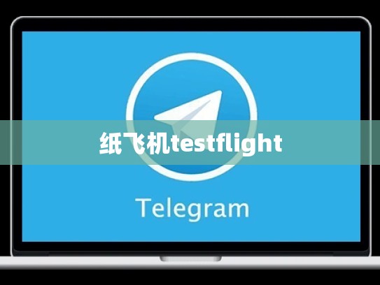 纸飞机testflight