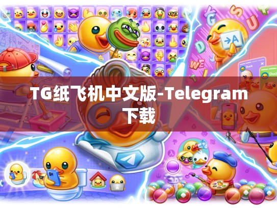 TG纸飞机中文版-Telegram下载