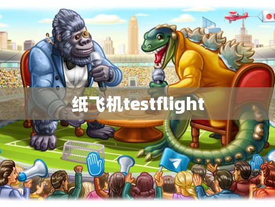 纸飞机testflight