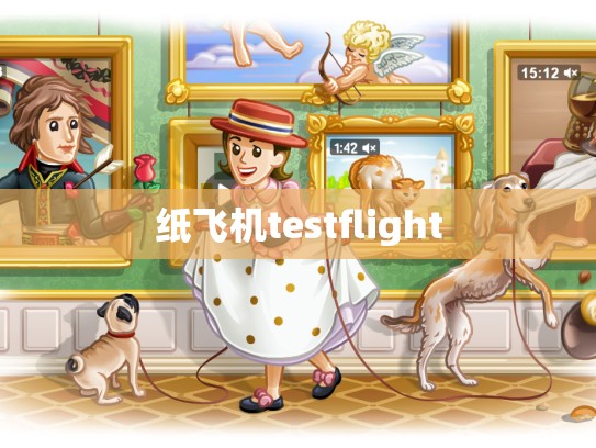 纸飞机testflight