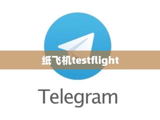 纸飞机testflight