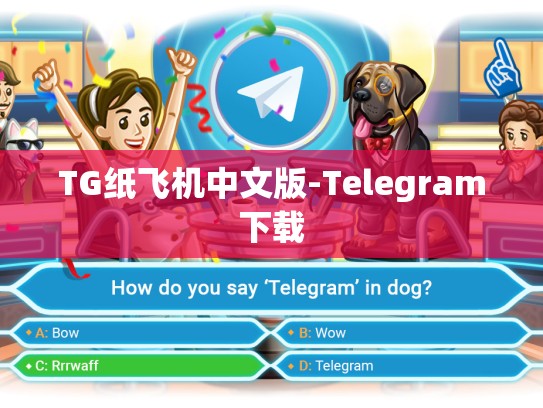 TG纸飞机中文版-Telegram下载