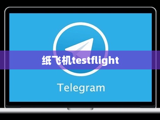 纸飞机testflight