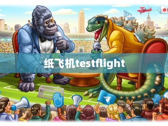 纸飞机testflight