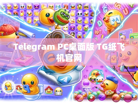Telegram PC桌面版 TG纸飞机官网