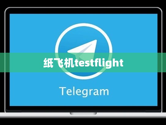 纸飞机testflight