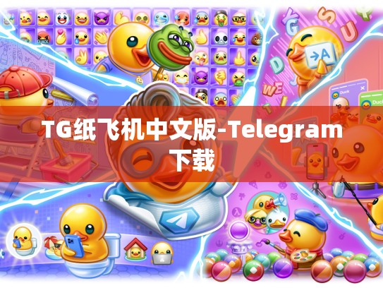 TG纸飞机中文版-Telegram下载
