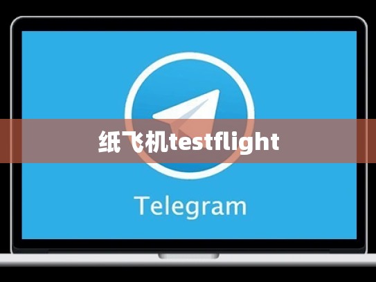 纸飞机testflight