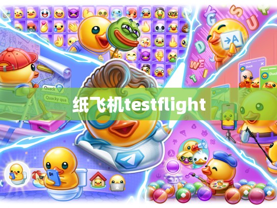 纸飞机testflight
