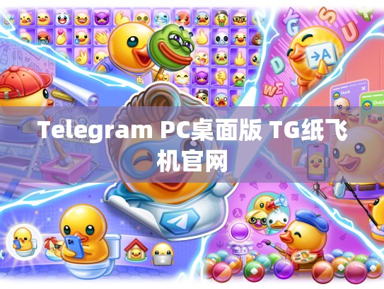 Telegram PC桌面版 TG纸飞机官网