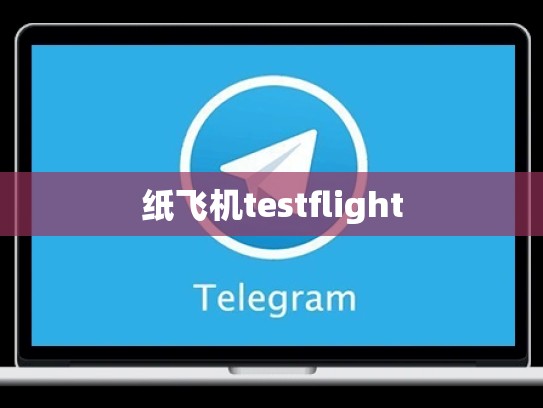 纸飞机testflight