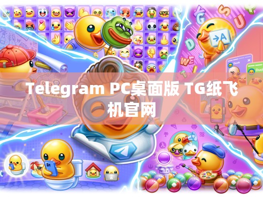 Telegram PC桌面版 TG纸飞机官网