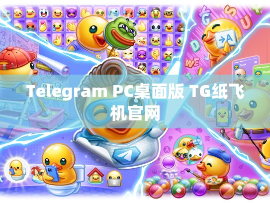 Telegram PC桌面版 TG纸飞机官网
