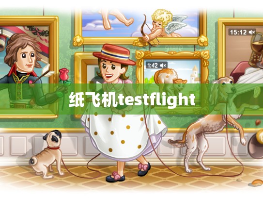 纸飞机testflight