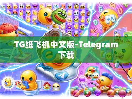 TG纸飞机中文版-Telegram下载