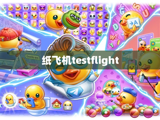 纸飞机testflight