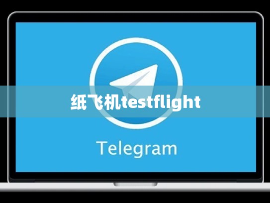 纸飞机testflight