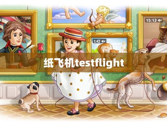 纸飞机testflight