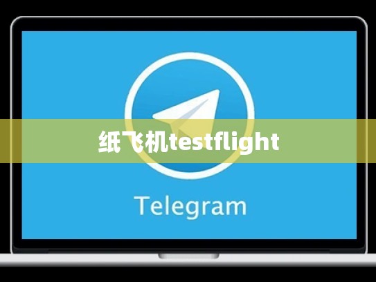 纸飞机testflight