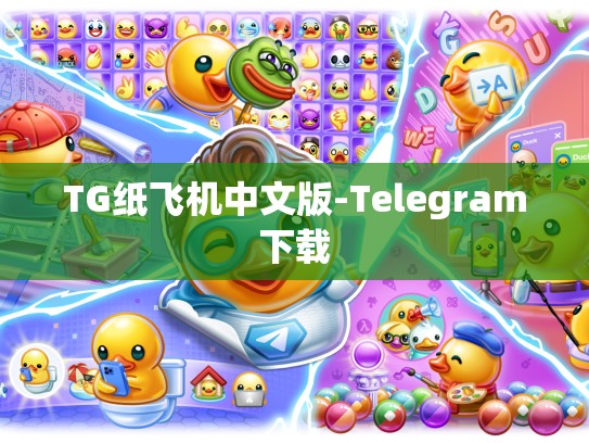 TG纸飞机中文版-Telegram下载