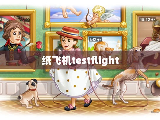纸飞机testflight