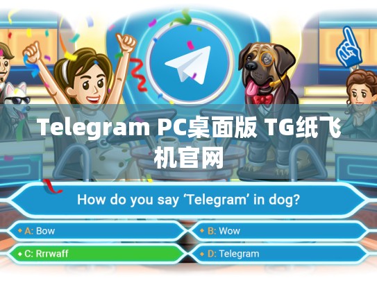 Telegram PC桌面版 TG纸飞机官网