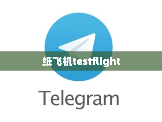 纸飞机testflight