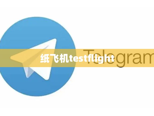 纸飞机testflight