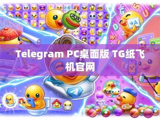 Telegram PC桌面版 TG纸飞机官网