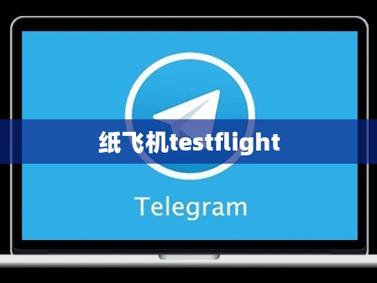 纸飞机testflight