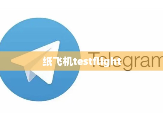 纸飞机testflight