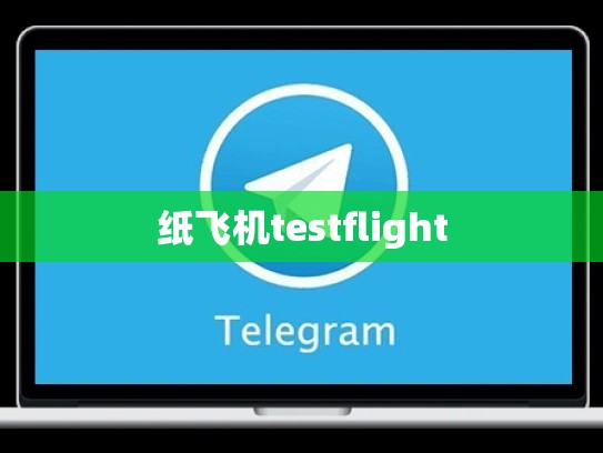 纸飞机testflight