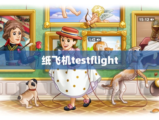 纸飞机testflight
