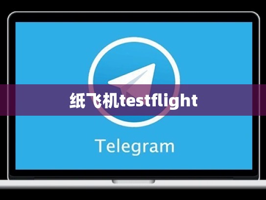 纸飞机testflight